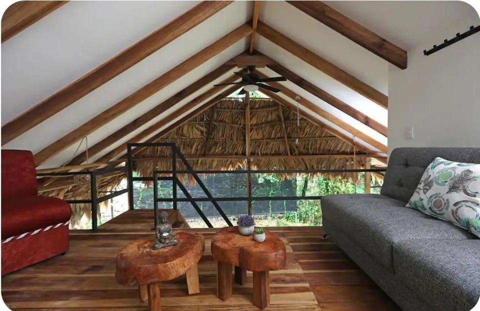 Evolution House Jungle Oasis Villa Hone Creek Luaran gambar