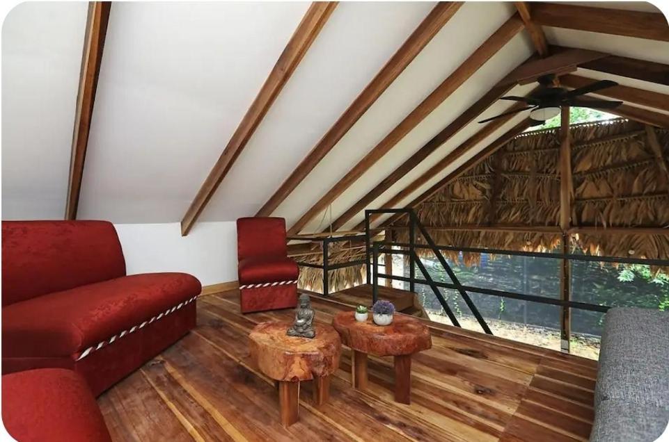 Evolution House Jungle Oasis Villa Hone Creek Luaran gambar