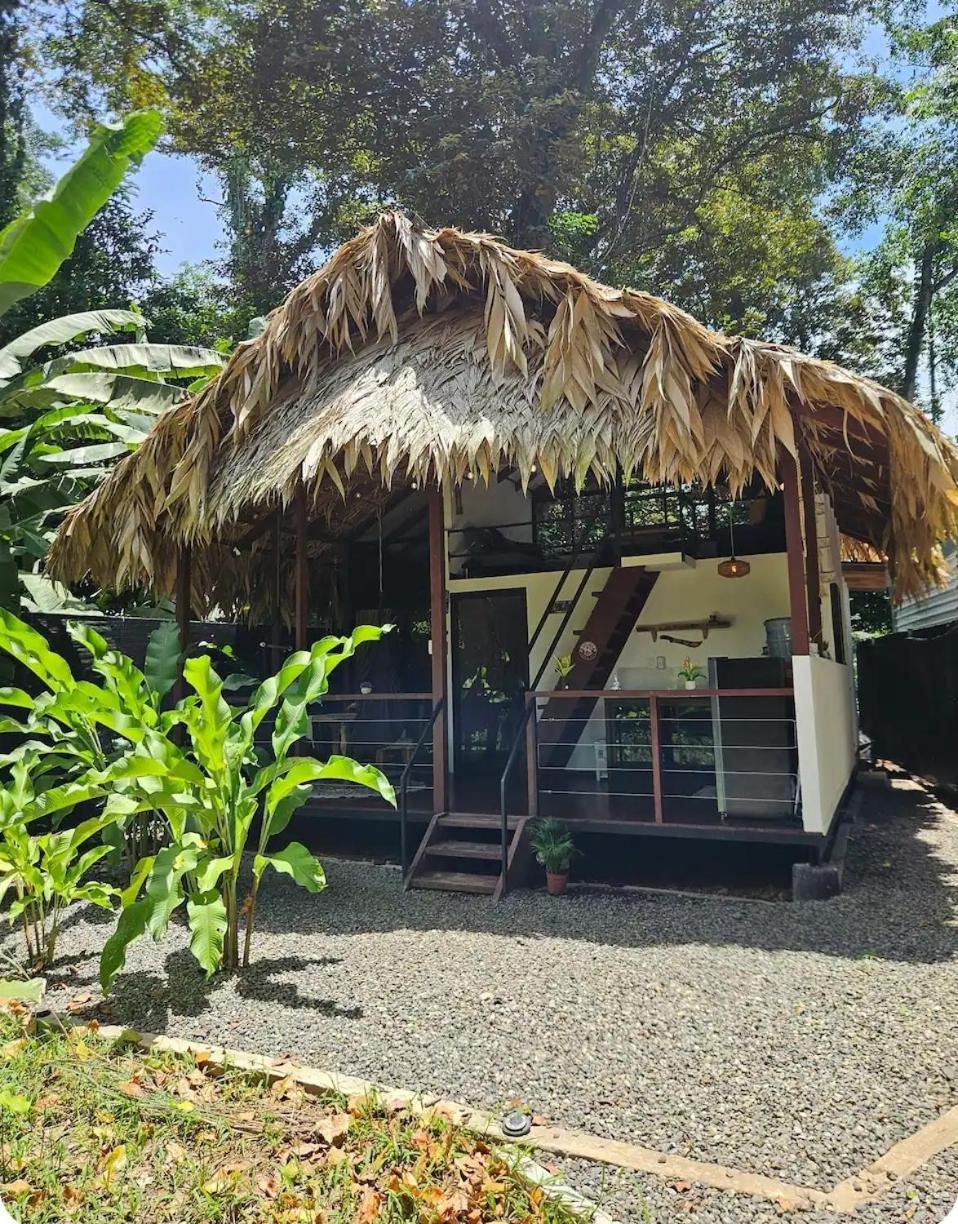 Evolution House Jungle Oasis Villa Hone Creek Luaran gambar