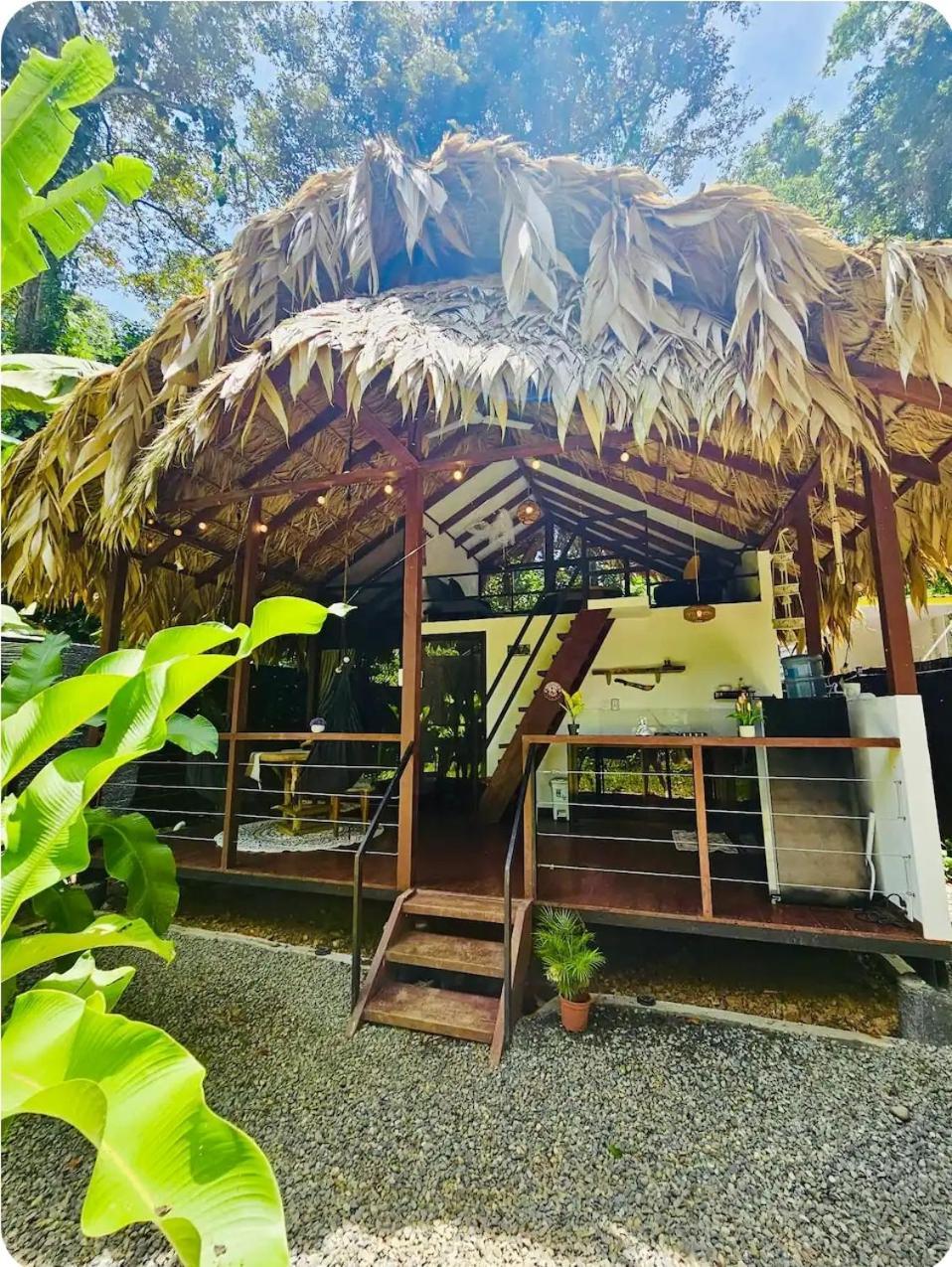Evolution House Jungle Oasis Villa Hone Creek Luaran gambar