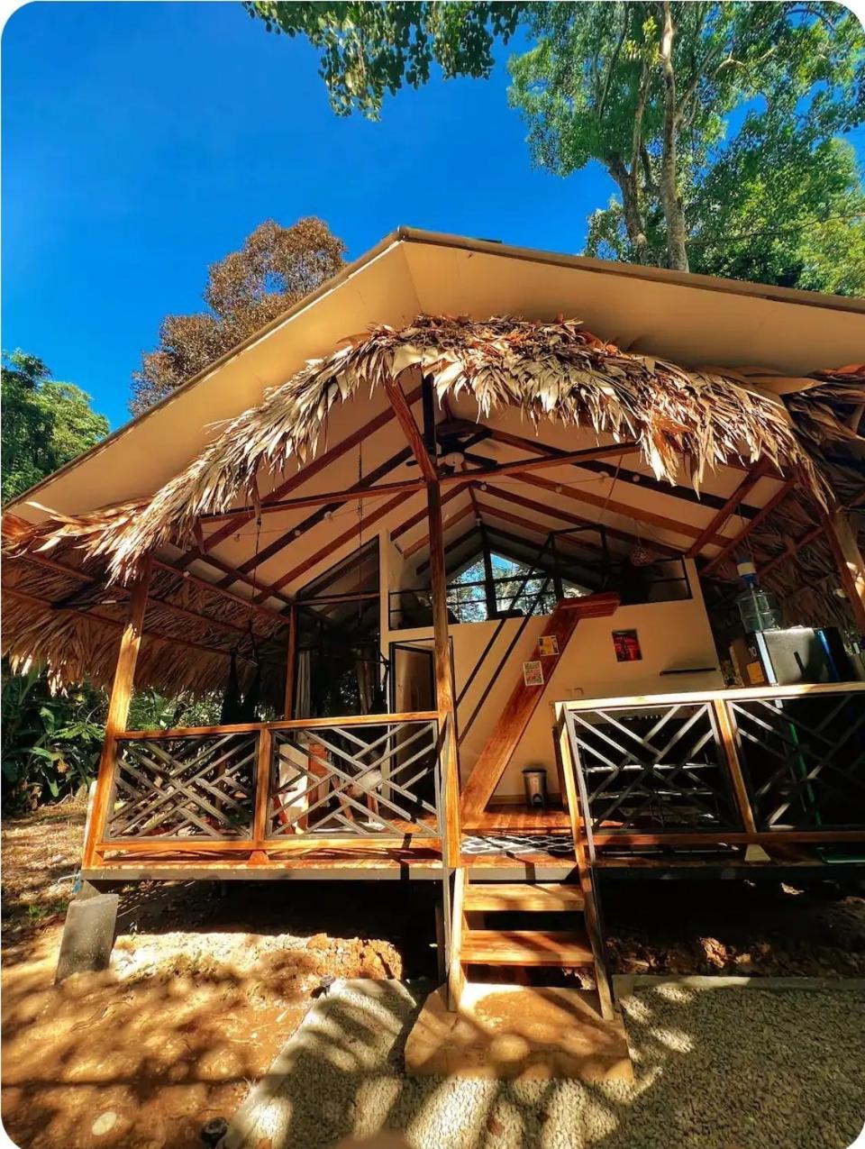 Evolution House Jungle Oasis Villa Hone Creek Luaran gambar