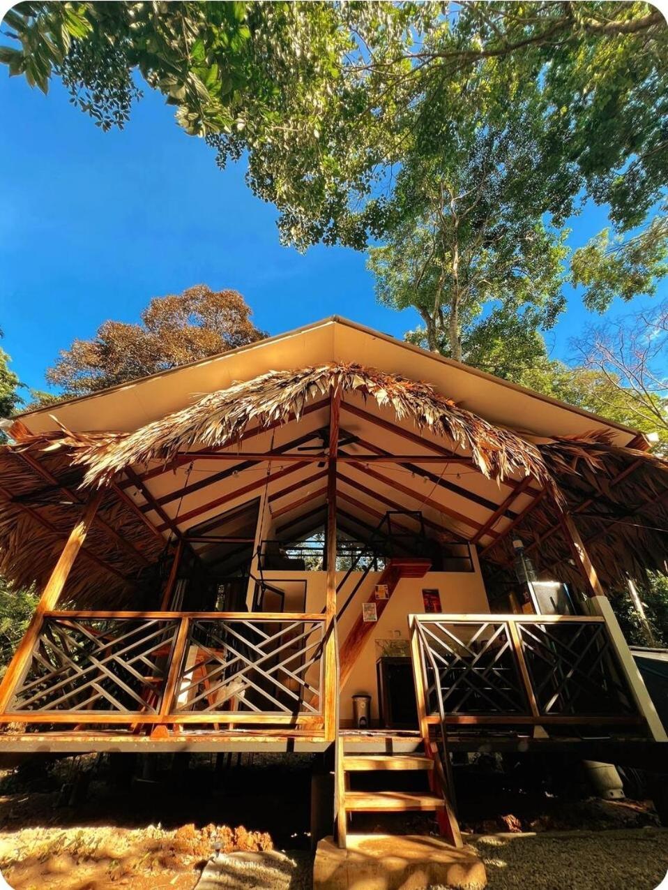 Evolution House Jungle Oasis Villa Hone Creek Luaran gambar