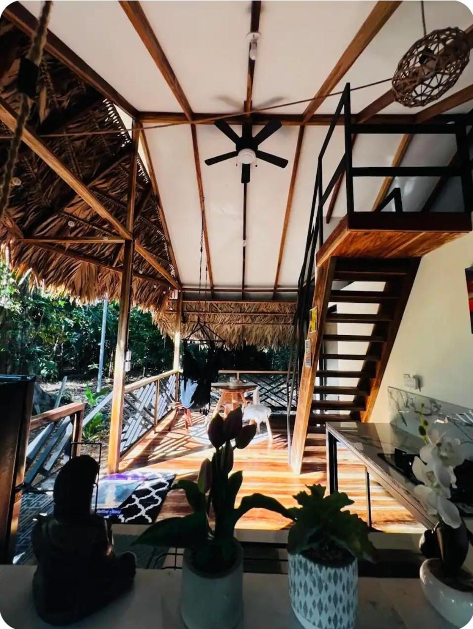 Evolution House Jungle Oasis Villa Hone Creek Luaran gambar
