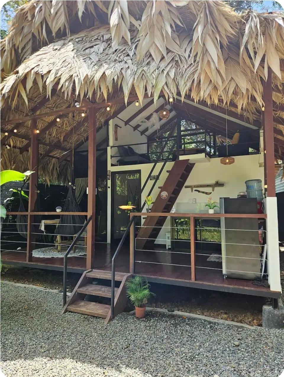Evolution House Jungle Oasis Villa Hone Creek Luaran gambar